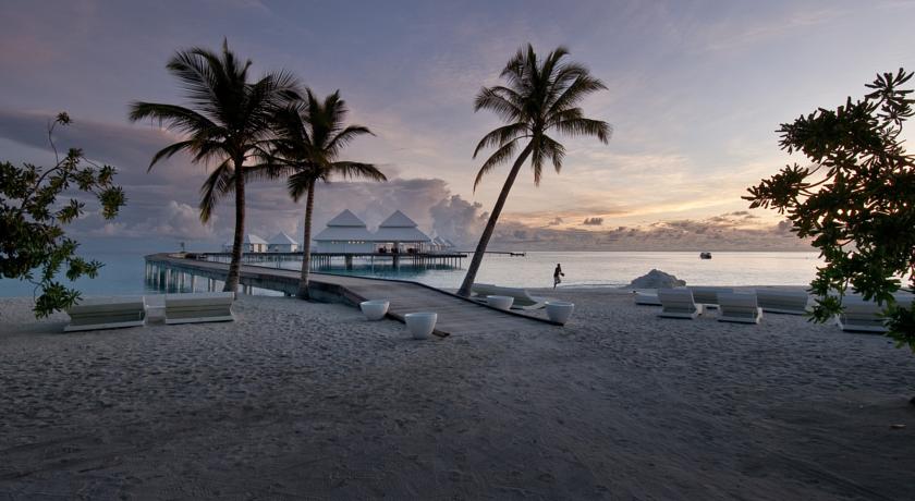 Diamonds Thudufushi Maldives — Арі (Аліфу) атол, Мальдіви мініатюра 12