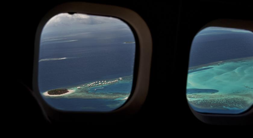 Diamonds Thudufushi Maldives — Арі (Аліфу) атол, Мальдіви мініатюра 39