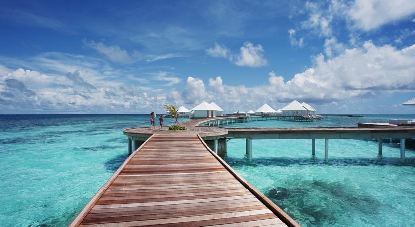Diamonds Thudufushi Maldives — Арі (Аліфу) атол, Мальдіви мініатюра 43