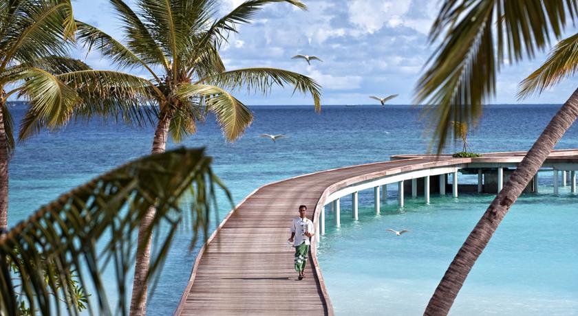 Diamonds Thudufushi Maldives — Арі (Аліфу) атол, Мальдіви мініатюра 44