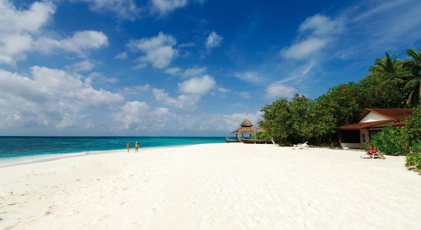 Diamonds Thudufushi Maldives — Арі (Аліфу) атол, Мальдіви мініатюра 45