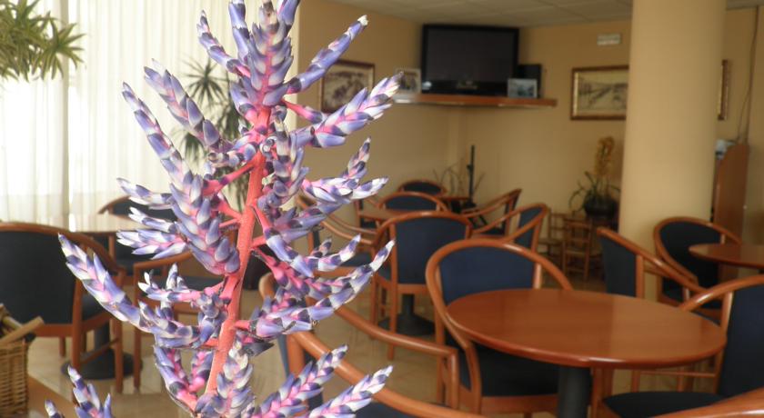 Metropol Hotel Lloret de Mar — Ллорет-де-Мар, Іспанія мініатюра 10