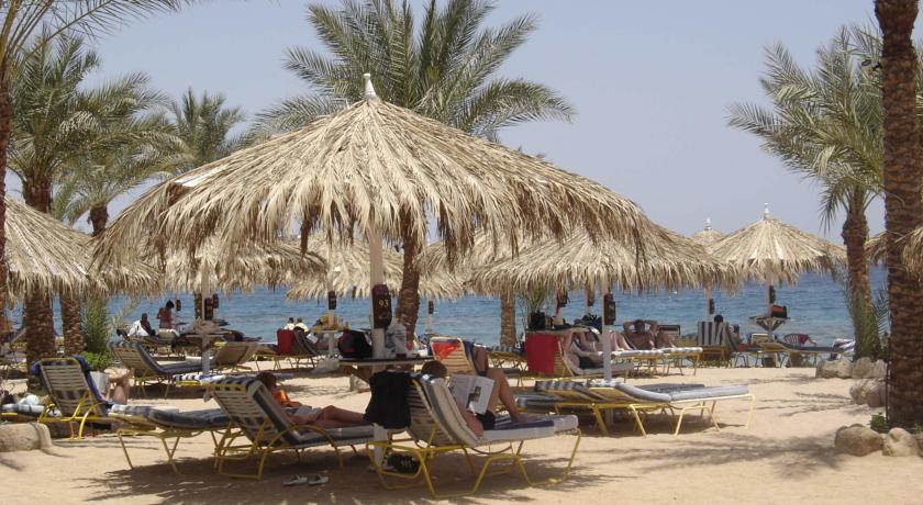 Jaz Fayrouz Resort — Наама Бей, Єгипет мініатюра 6