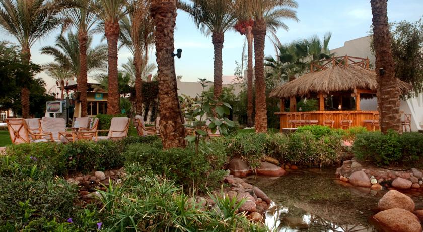 Jaz Fayrouz Resort — Наама Бей, Єгипет мініатюра 34