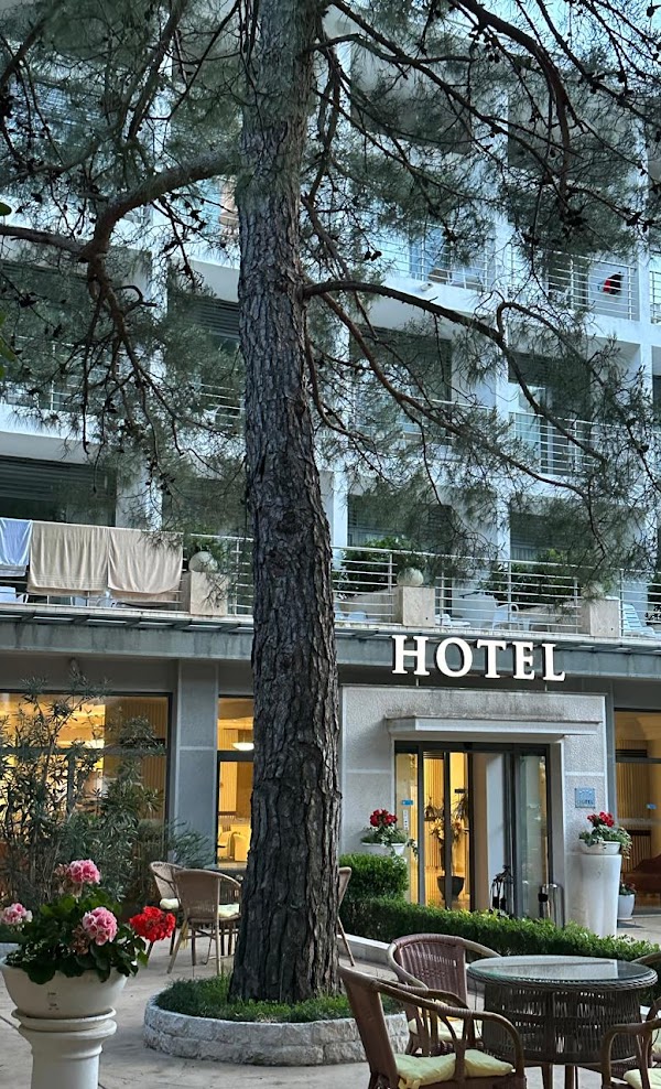 Rivijera Hotel — Будванськая Рівʼєра, Чорногорія мініатюра 6