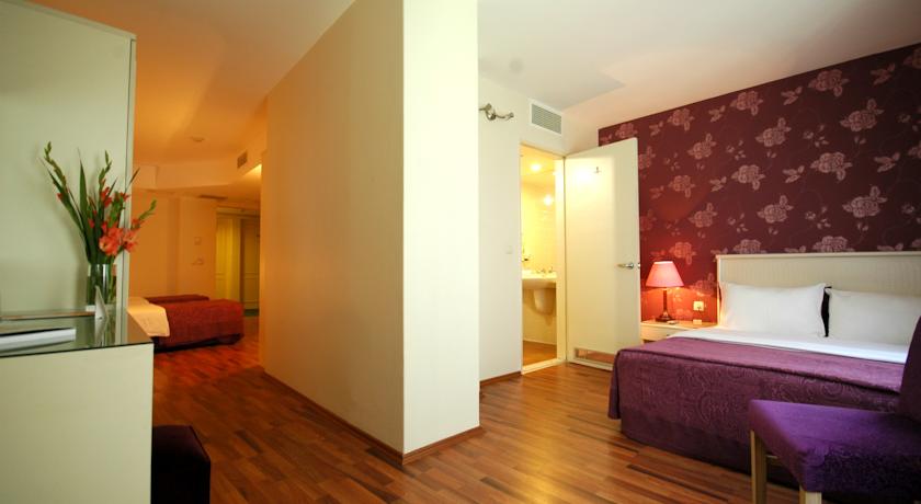 Antik Hotel Istanbul — Стамбул, Туреччина мініатюра 44