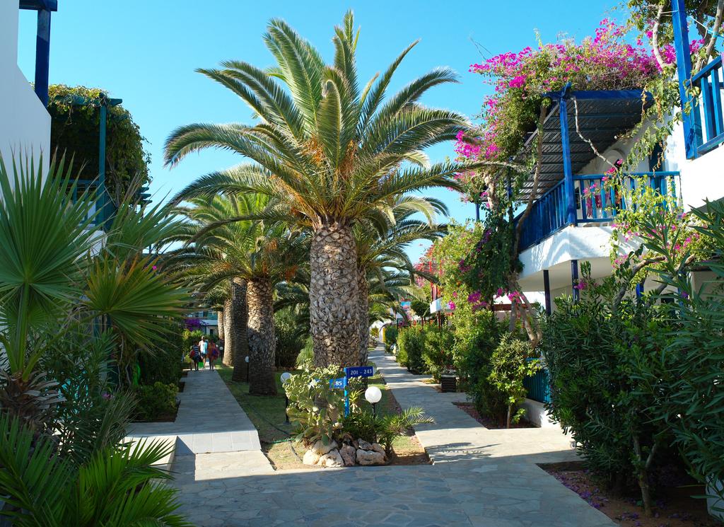 Stella Village Seaside Hotel, о. Крит, Греція мініатюра 34