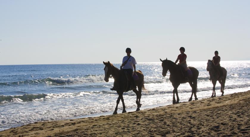 Pilot Beach Resort — о. Крит, Греція мініатюра 122