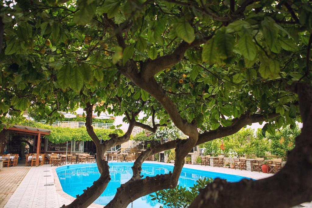 Roxani Hotel — о. Крит, Греція мініатюра 24