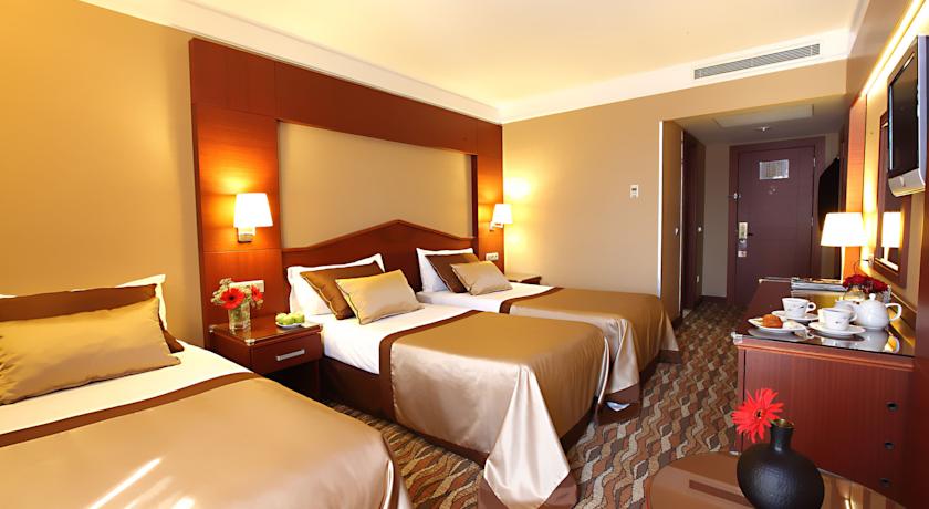 Vicenza Hotel — Стамбул, Туреччина мініатюра 36