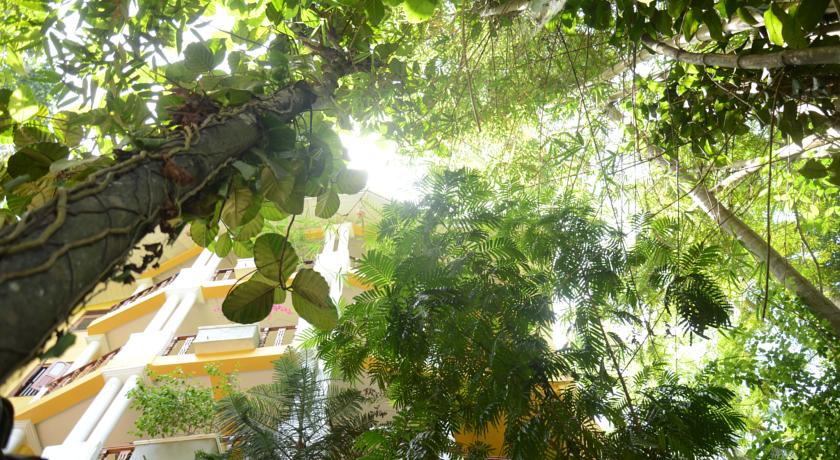 Thambapanni Retreat Unawatuna — Унаватуна, Шрі Ланка мініатюра 33