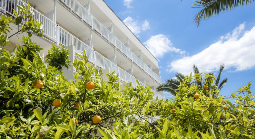 Orsan Hotel — Південна Далмація, Хорватія мініатюра 31