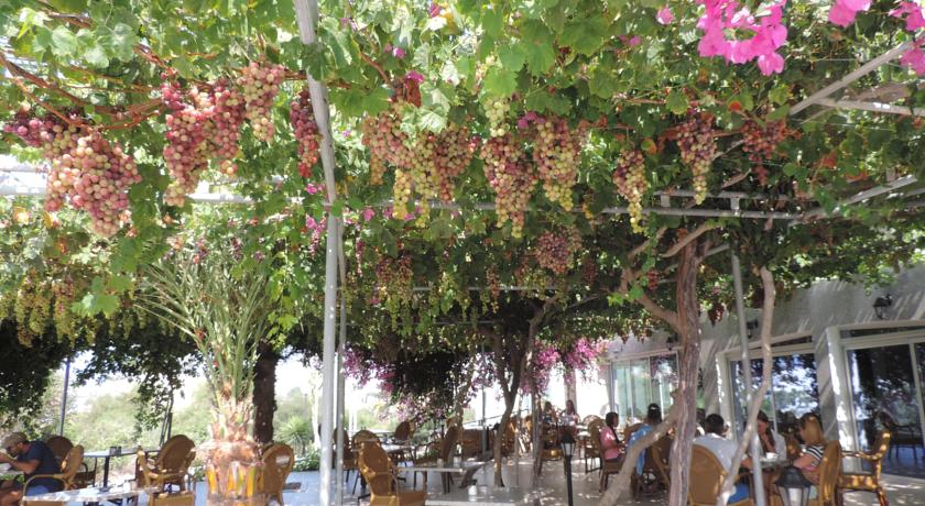 Corfu — Айя Напа, Кіпр мініатюра 33