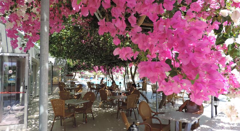 Corfu — Айя Напа, Кіпр мініатюра 39