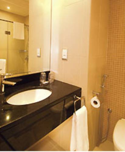 Ibis Dubai Al Rigga Hotel — Дубаї, Об'єднані Арабські Емірати мініатюра 69