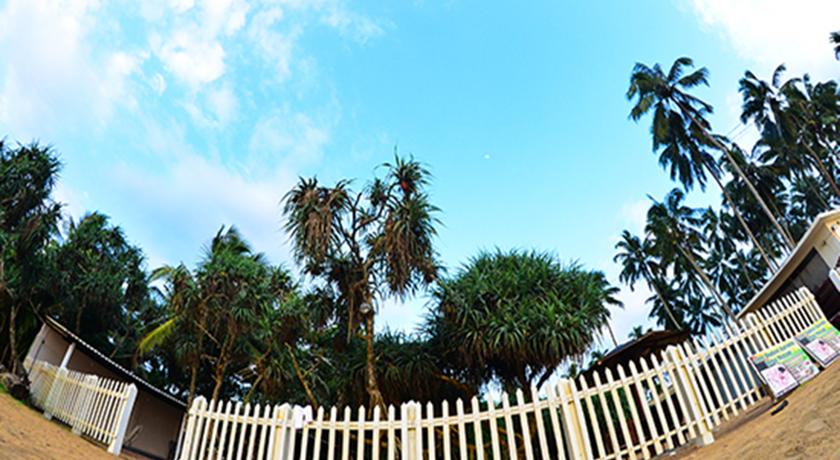 Green Shadows Beach Hotel — Калутара, Шрі Ланка мініатюра 39