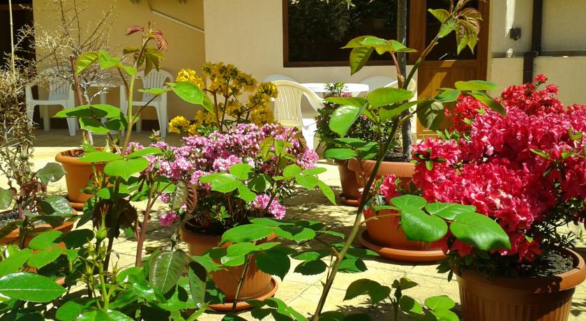 Chuchulev Hotel — Созополь, Болгарія мініатюра 22