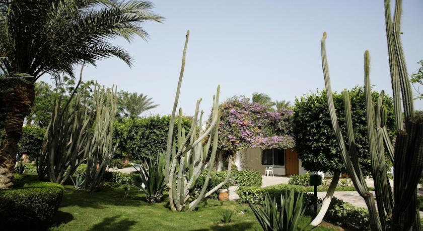 Shams Safaga Resort — Сафага, Єгипет мініатюра 63