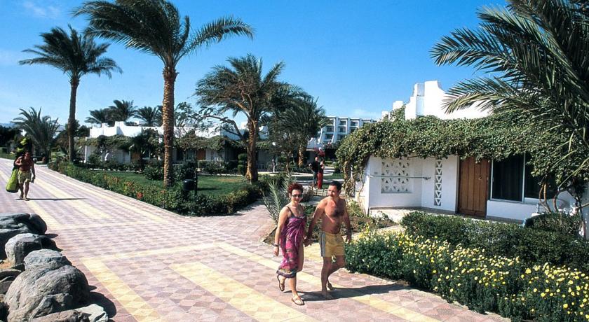 Shams Safaga Resort — Сафага, Єгипет мініатюра 65