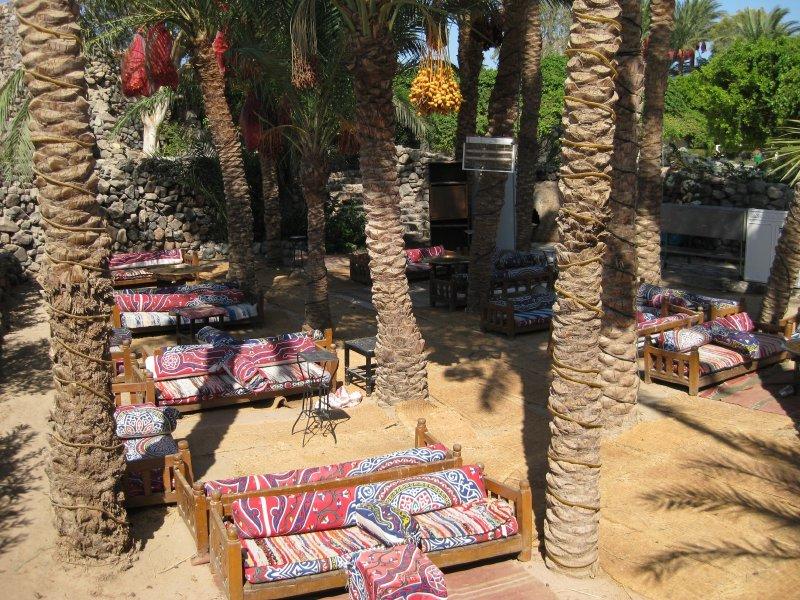 Shams Safaga Resort — Сафага, Єгипет мініатюра 84