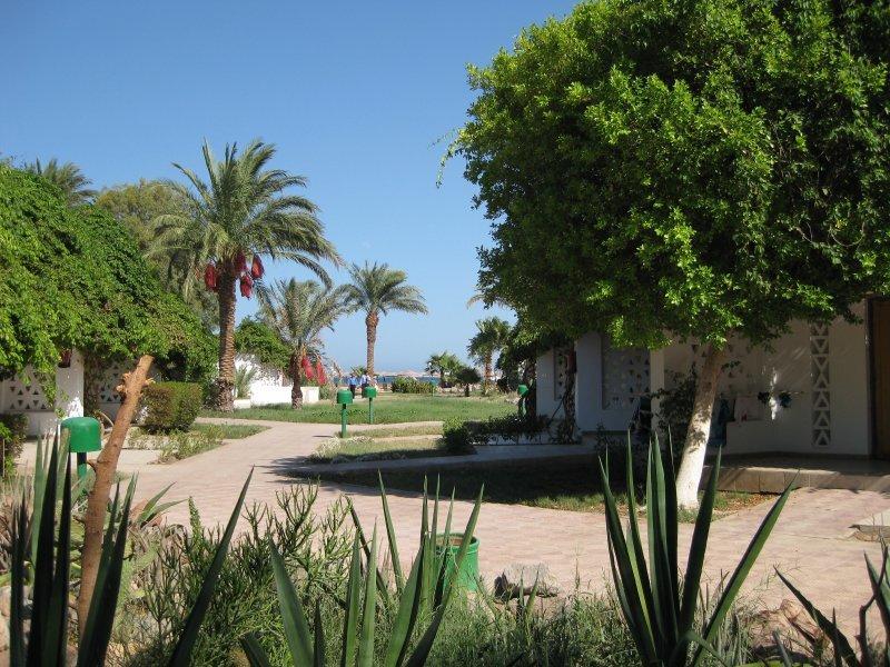 Shams Safaga Resort — Сафага, Єгипет мініатюра 88
