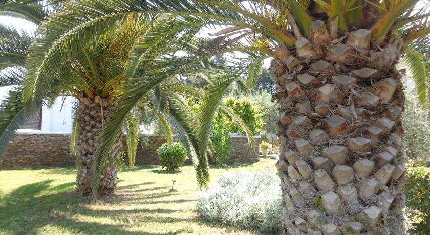 Porto Matina Hotel — Халкідікі, Греція мініатюра 24