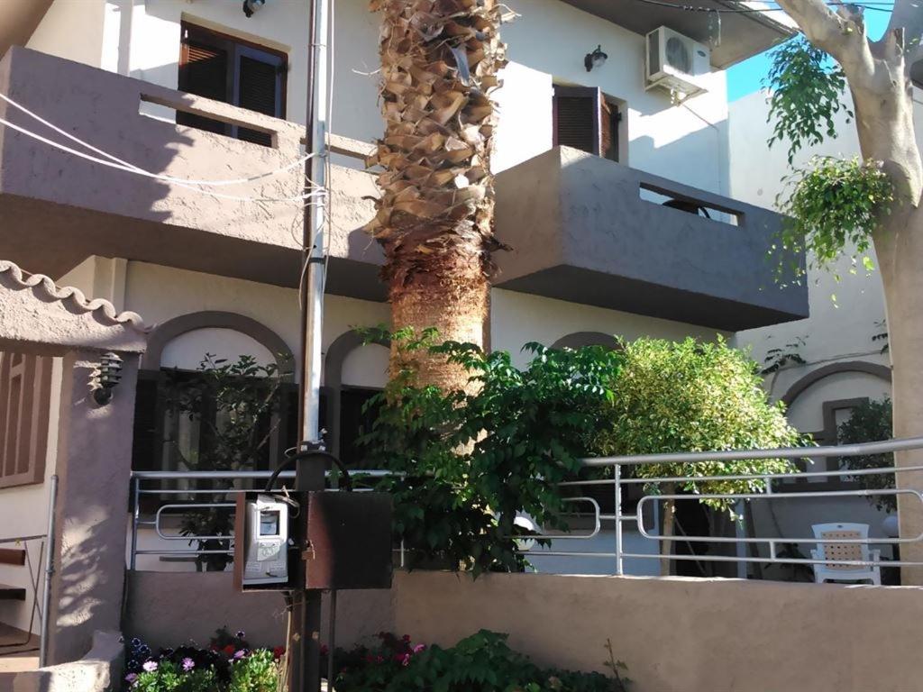Fotula Apartments Agia Pelagia — о. Крит, Греція мініатюра 6