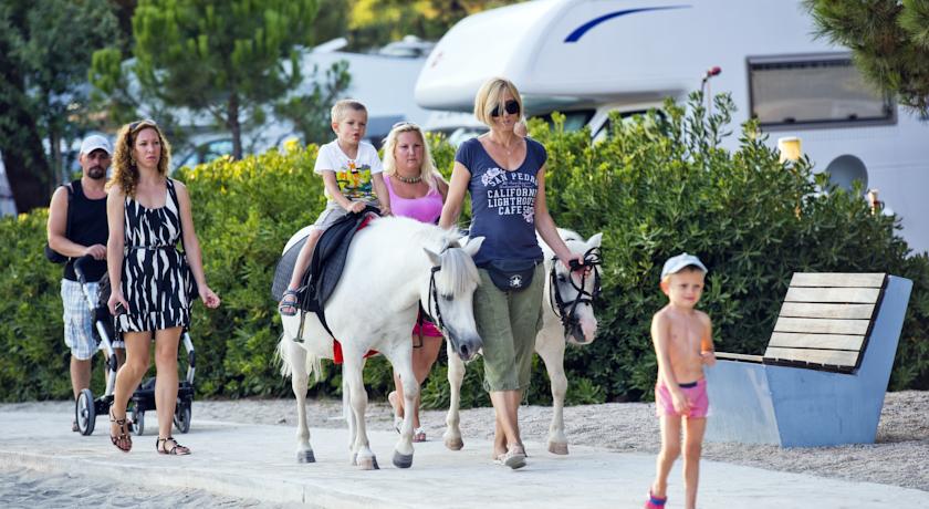 Zaton Holiday Resort Camping, Задар, Хорватія мініатюра 33