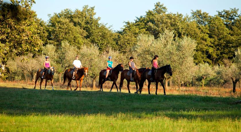 Istra Plava Laguna — П-ів Істрія, Хорватія мініатюра 13