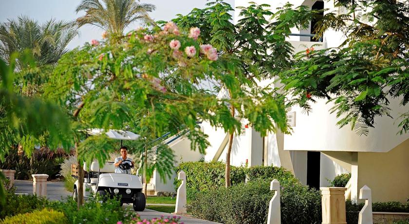 Reef Oasis Blue Bay Resort & Spa — Шарм-ель-Шейх, Єгипет мініатюра 122