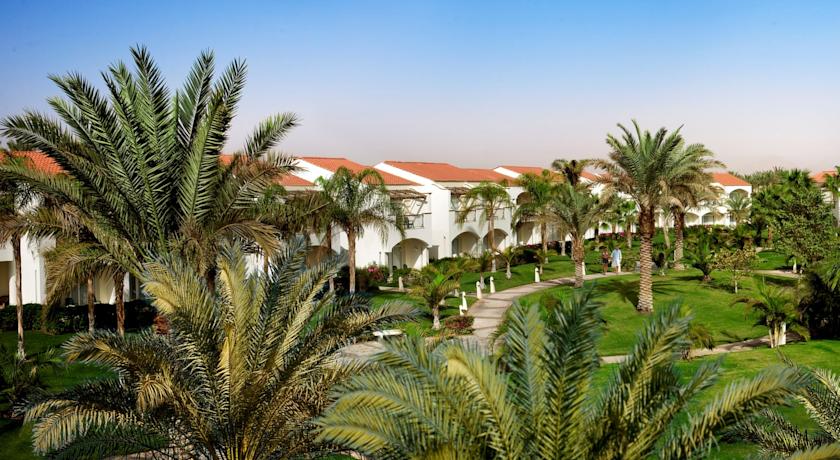 Reef Oasis Blue Bay Resort & Spa — Шарм-ель-Шейх, Єгипет мініатюра 124
