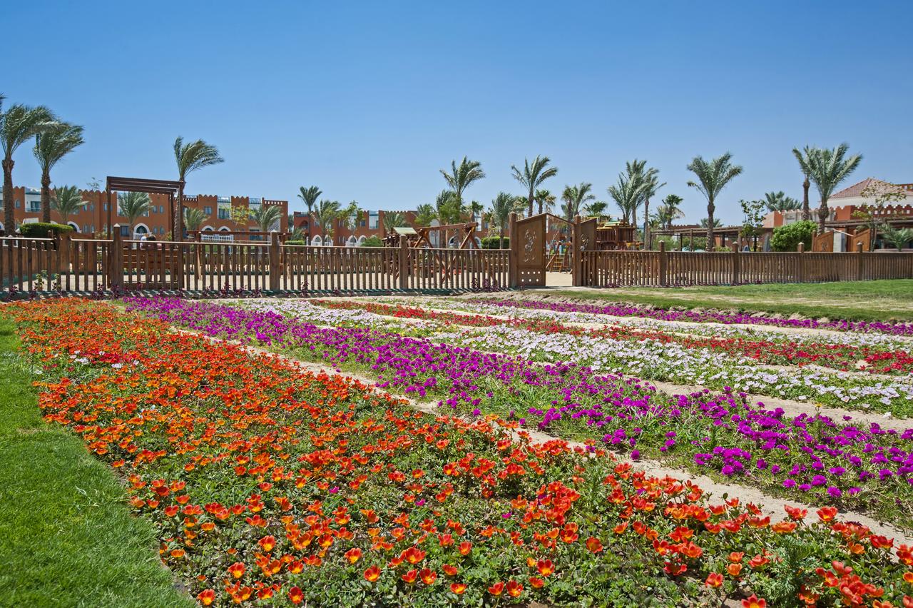 Sunrise Select Garden Beach Resort & Spa — Хургада, Єгипет мініатюра 44