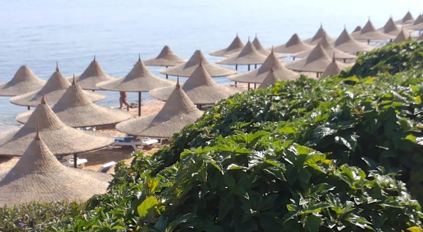 Pickalbatros Palace Sharm Aqua Park — Рас Насрани, Єгипет мініатюра 10
