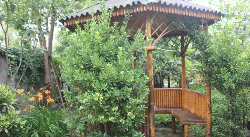 Savane — Кобулеті, Грузія мініатюра 13