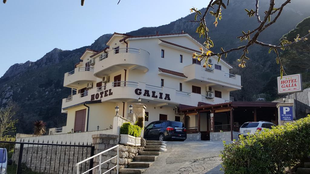 Galia Hotel — Прчань, Чорногорія мініатюра 14