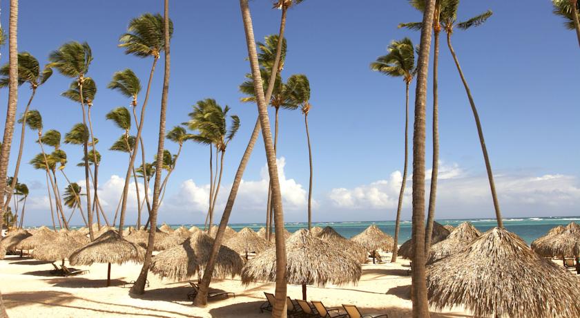 Zel Punta Cana — Баваро, Домініканська Республіка мініатюра 41