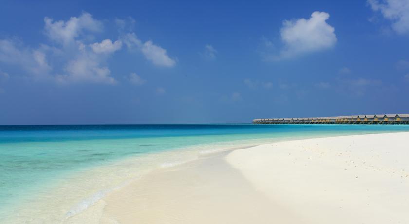 Centara Ras Fushi Resort & Spa Maldives — Північний Мале Атол, Мальдіви мініатюра 9