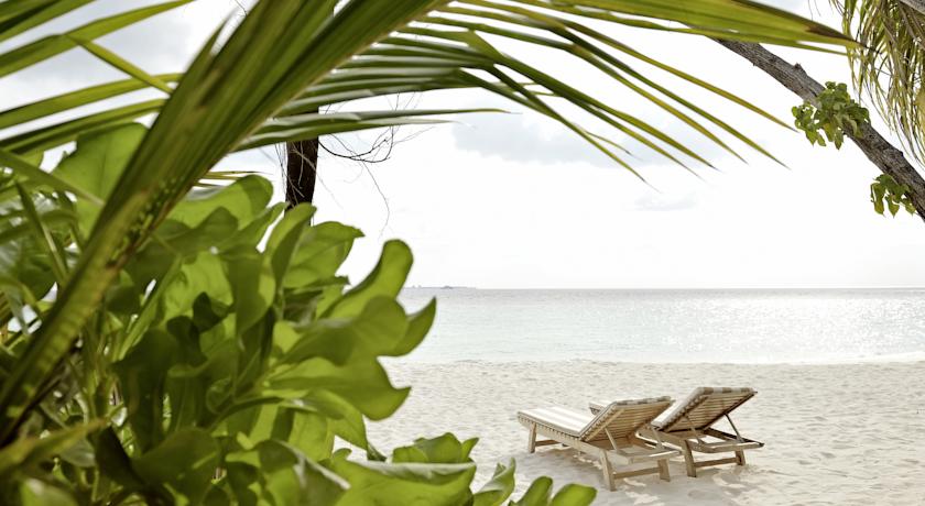 Outrigger Maldives Maafushivaru Resort — Арі (Аліфу) атол, Мальдіви мініатюра 12