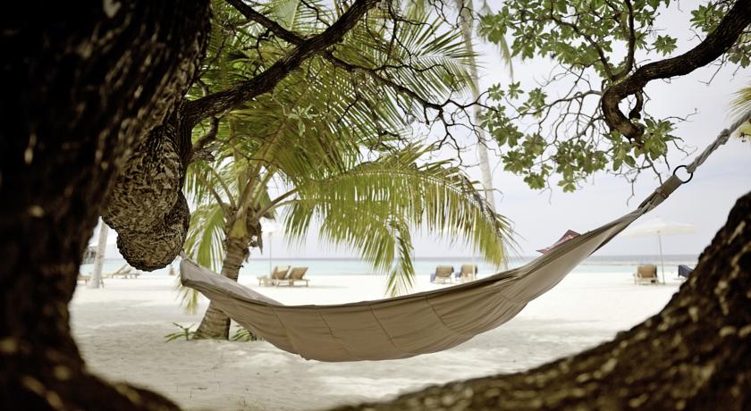 Outrigger Maldives Maafushivaru Resort — Арі (Аліфу) атол, Мальдіви мініатюра 14