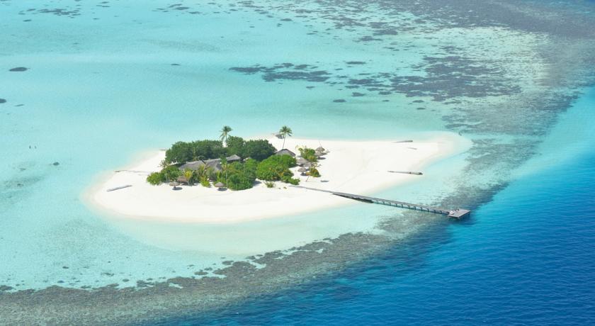 Outrigger Maldives Maafushivaru Resort — Арі (Аліфу) атол, Мальдіви мініатюра 41