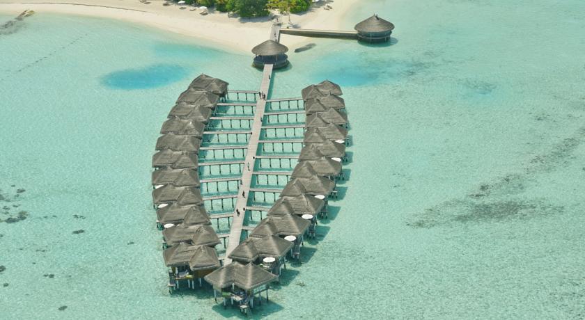 Outrigger Maldives Maafushivaru Resort — Арі (Аліфу) атол, Мальдіви мініатюра 44