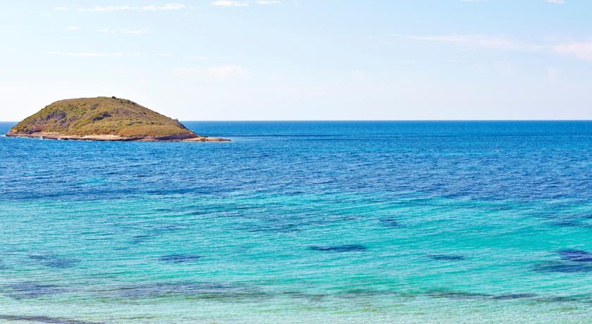 Flamboyan Caribe Hotel Magaluf — Кальвія, Іспанія мініатюра 44