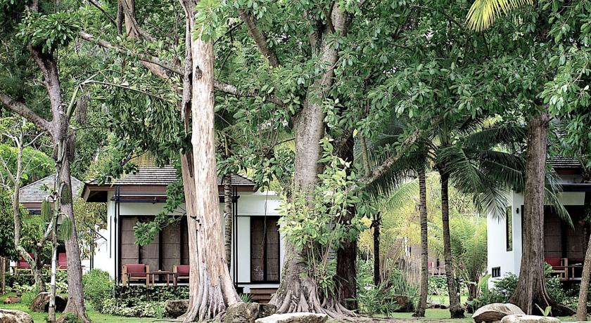 The Mangrove by Blu Monkey Phuket — о. Пхукет, Таїланд мініатюра 17
