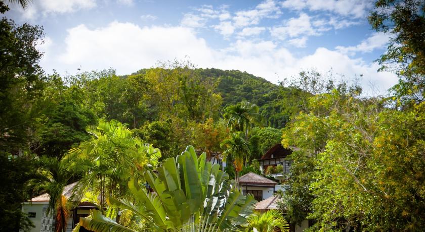 The Mangrove by Blu Monkey Phuket — о. Пхукет, Таїланд мініатюра 20