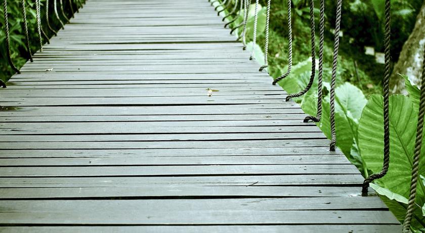 The Mangrove by Blu Monkey Phuket — о. Пхукет, Таїланд мініатюра 21