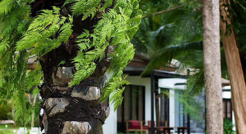 The Mangrove by Blu Monkey Phuket — о. Пхукет, Таїланд мініатюра 22