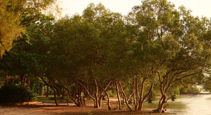 The Mangrove by Blu Monkey Phuket — о. Пхукет, Таїланд мініатюра 24