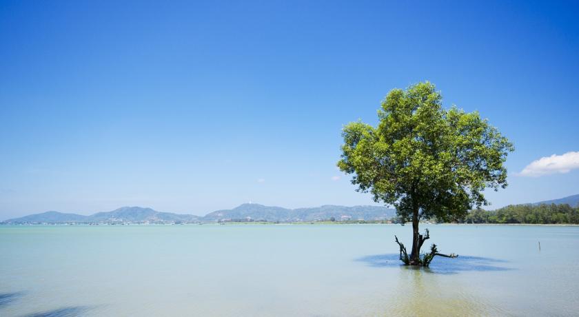 The Mangrove by Blu Monkey Phuket — о. Пхукет, Таїланд мініатюра 35