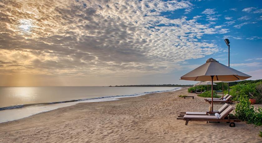 Jungle Beach Resort — Куччавелі, Шрі Ланка мініатюра 22