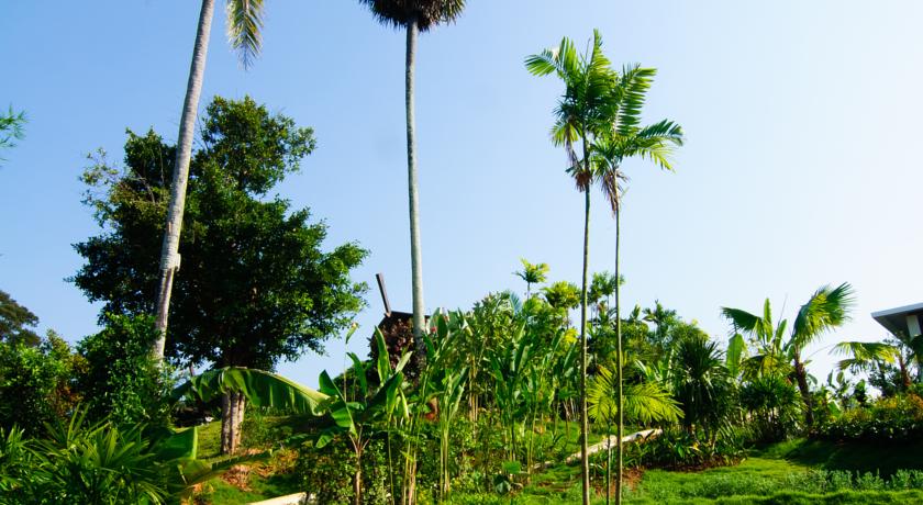 Barcelo Coconut Island, о. Пхукет, Таїланд мініатюра 19